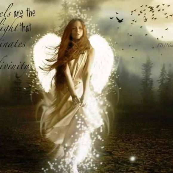 Meet your Posher, Karen - Picture 1 of 1